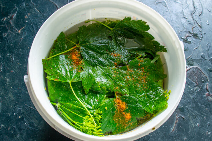 Cucumbers submerged in brine and sprinkled with ground paprika