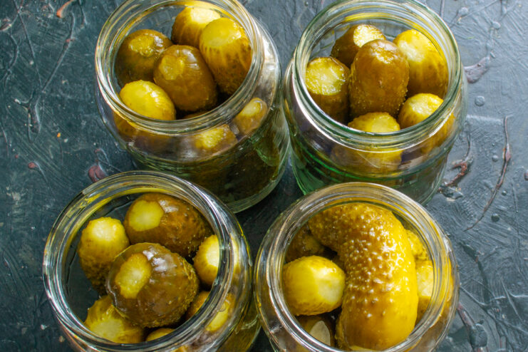Transferring pickles to jars Packing fermented cucumbers from a bucket into sterilized glass jars