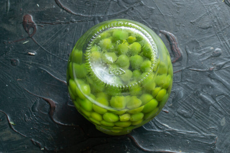 Upside-down jar of canned peas wrapped in a warm blanket