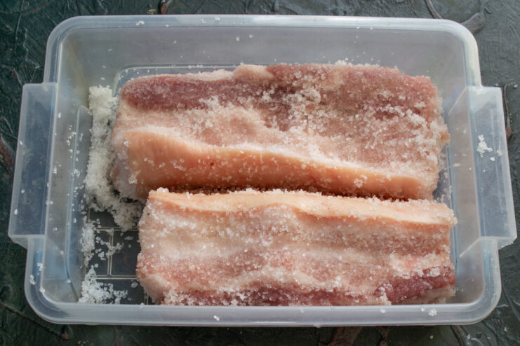 Dry Curing the Pork Belly Process of dry curing pork belly in a container with a salt and sugar mixture