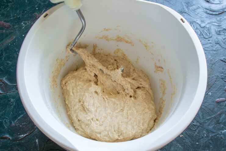 Kneading With A Mixer Kneading bread dough in a stand mixer using a dough hook attachment.