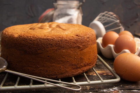 Classic 4-Egg Sponge Cake