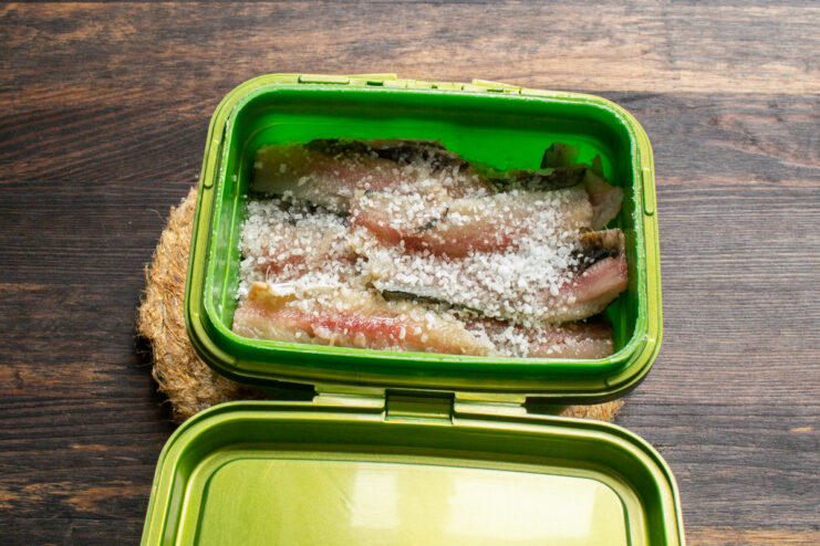 Sealing the curing container Fish heavily coated in salt inside a sealed container