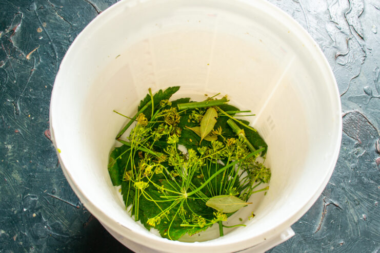 Spices and aromatic leaves arranged at the bottom of a bucket