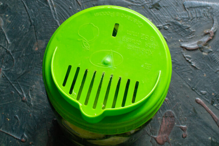 Draining Water from the Jar Glass jar of cucumbers covered with a green perforated lid for draining