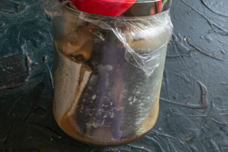 Refrigerating the jar for curing Sealed glass jar with curing herring resting in the refrigerator