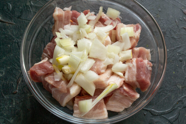 Meat with onions Diced pork mixed with chopped onions