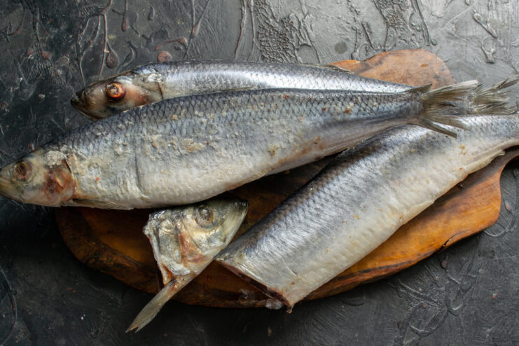 Choosing and thawing herring High-quality whole herring with intact skin ready for prep