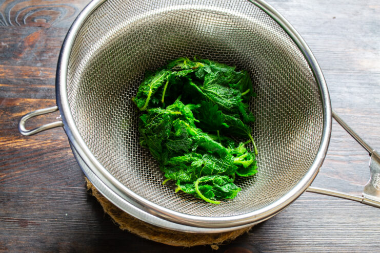 Prepared nettles Blanched and rinsed nettle leaves draining in a sieve