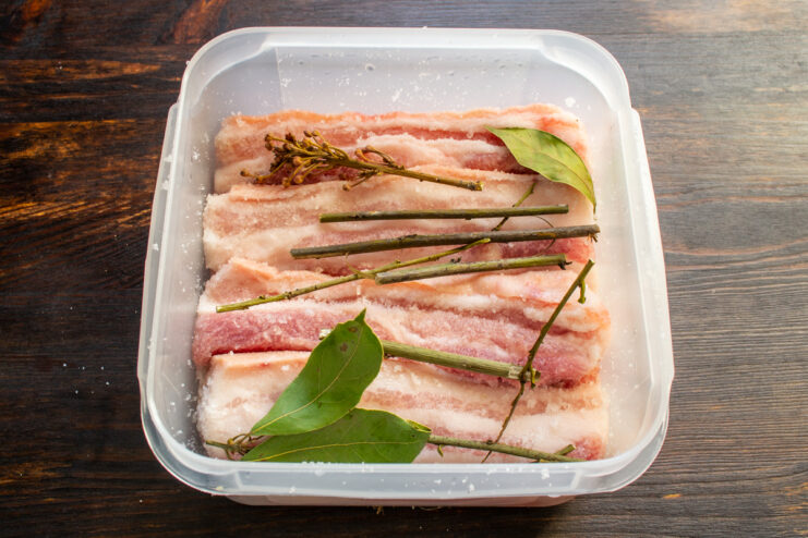 Pork in a curing container topped with fresh bay leaf branches